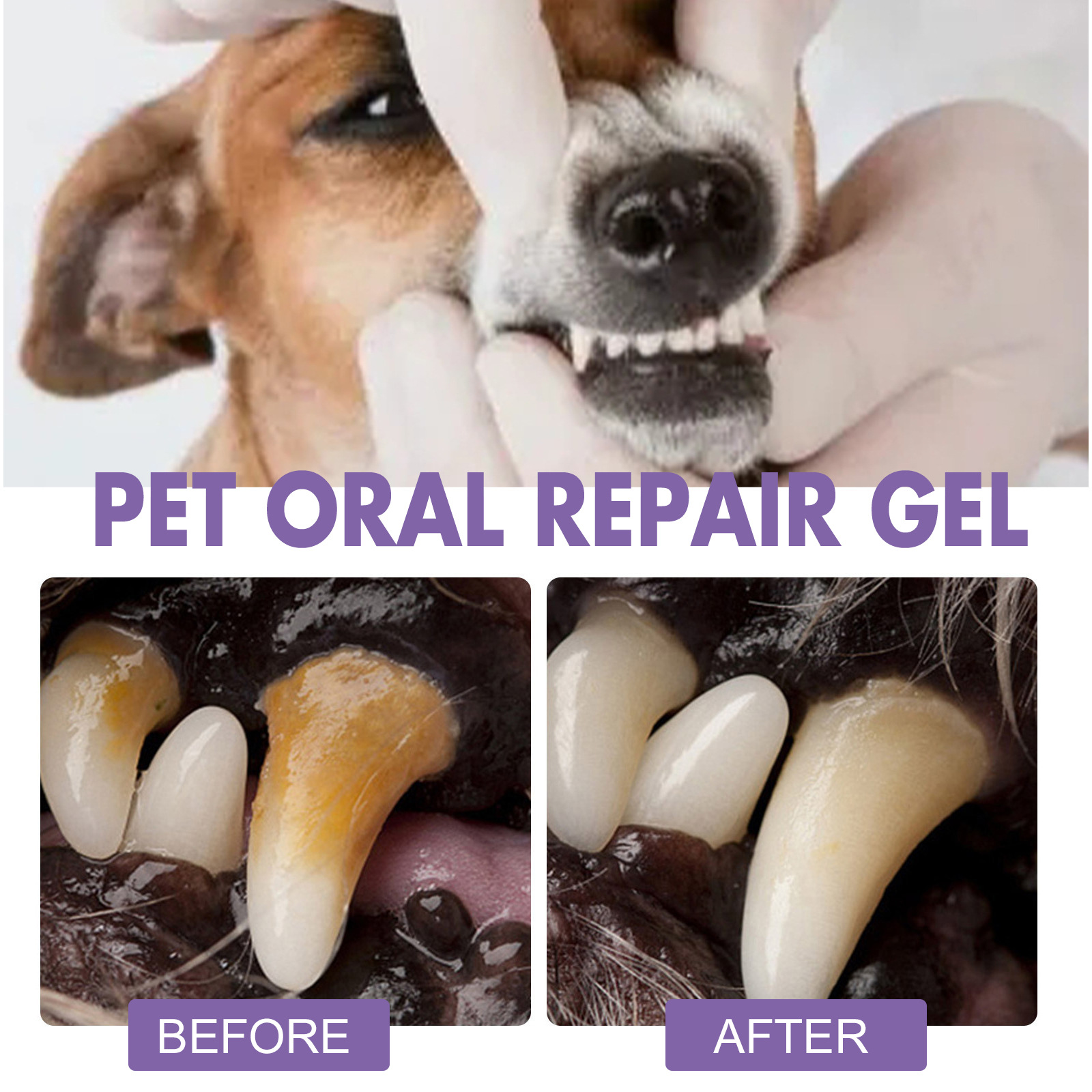 Huisdier Orale Reparatie Gel P - Teeth Whitening Diy recensie en prijs